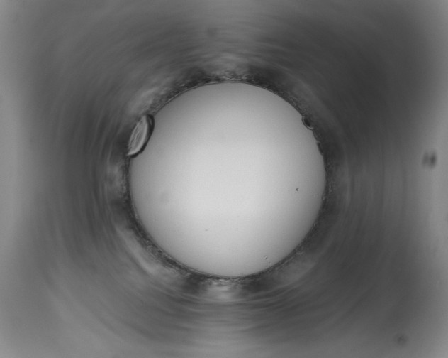 X0000115420088200911171433