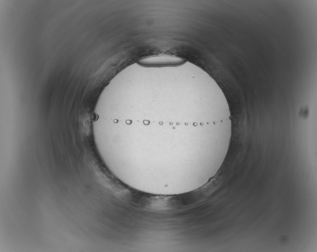 X0000115420090200911171433