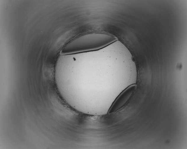 X0000115420092200911171433