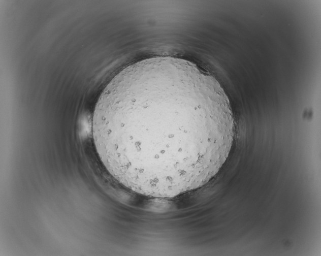 X0000115420095200911171433