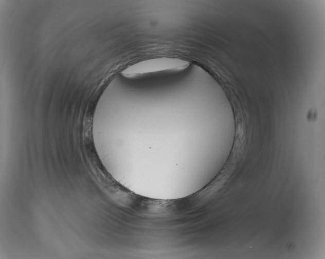 X0000115420096200911171433