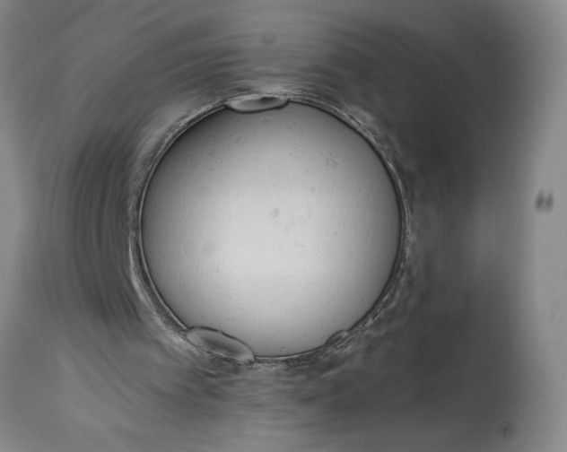 X0000115420097200911171432