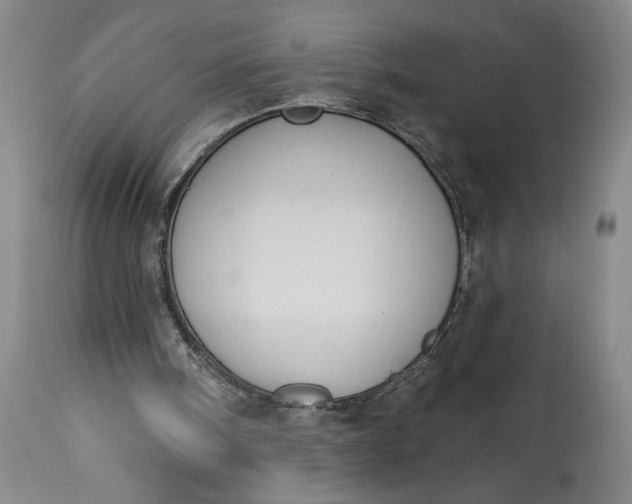 X0000115420098200911171432