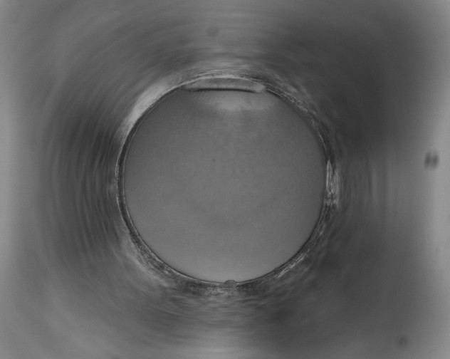 X0000115420099200911171432