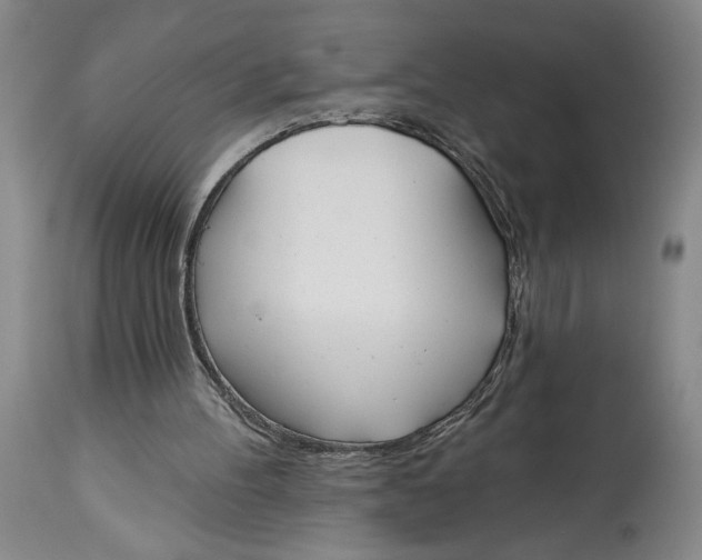 X0000115420100200911171432