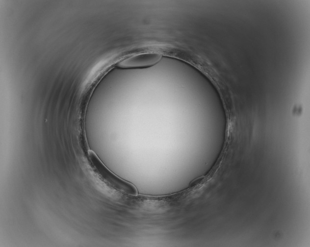 X0000115420101200911171432