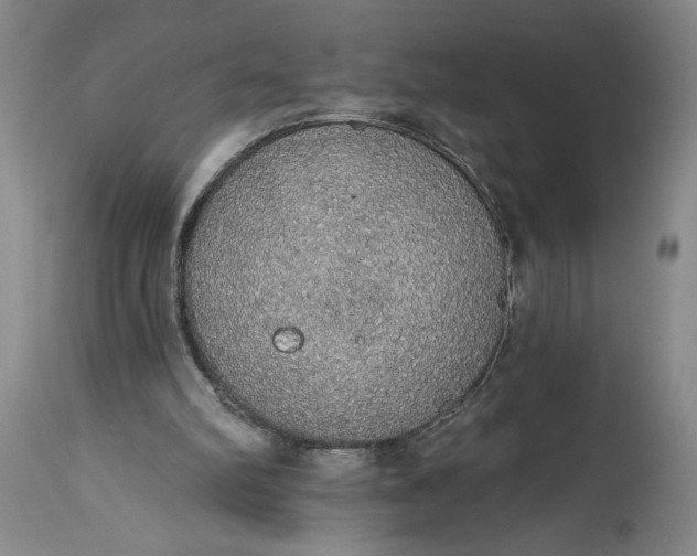 X0000115420102200911171432