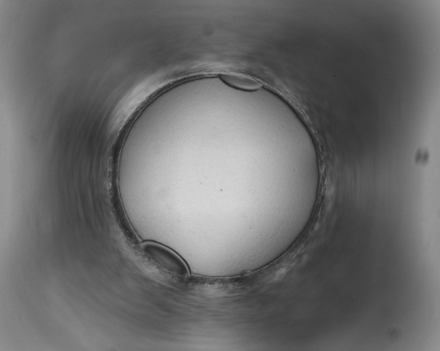 X0000115420103200911171432