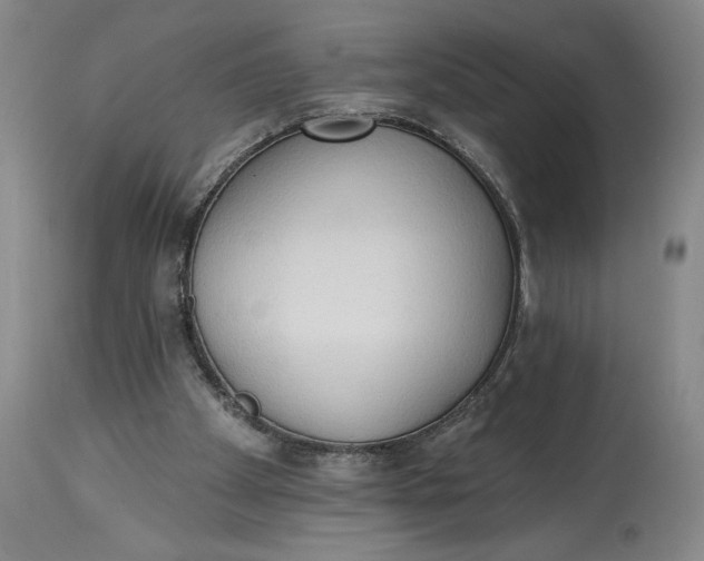 X0000115420105200911171432