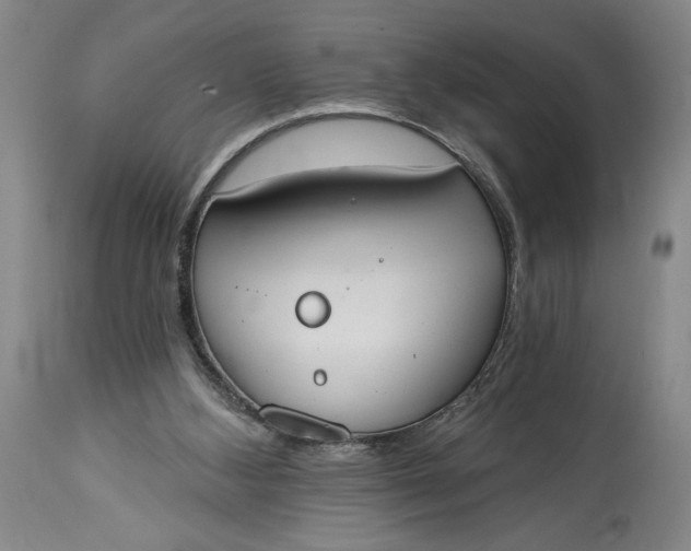 X0000115420108200911171432