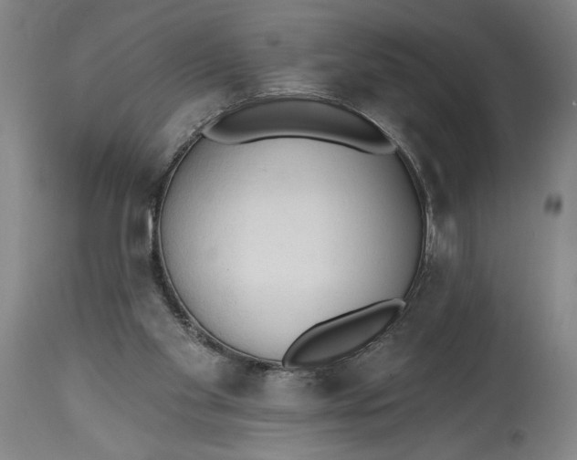 X0000115420109200911171432