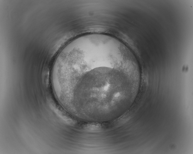 X0000115420110200911171432