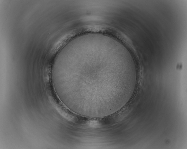 X0000115420114200911171432