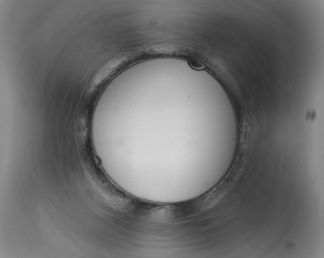 X0000115420116200911171432