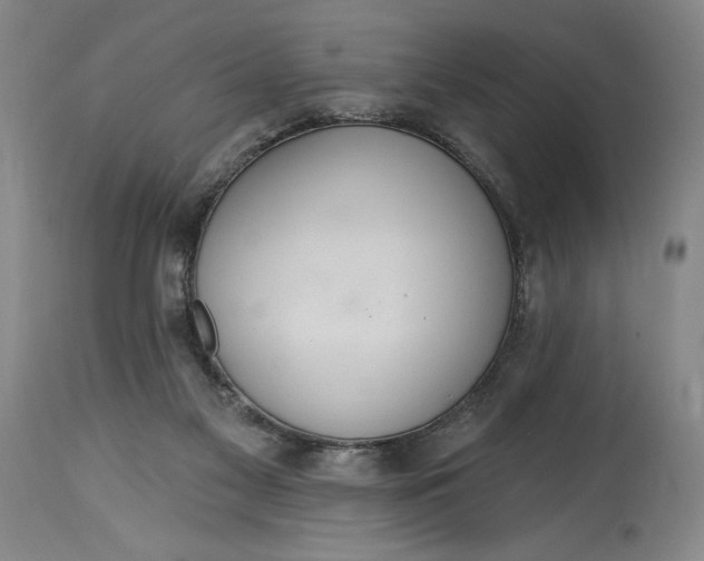 X0000115420117200911171432