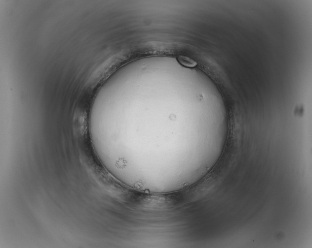 X0000115420123200911171432