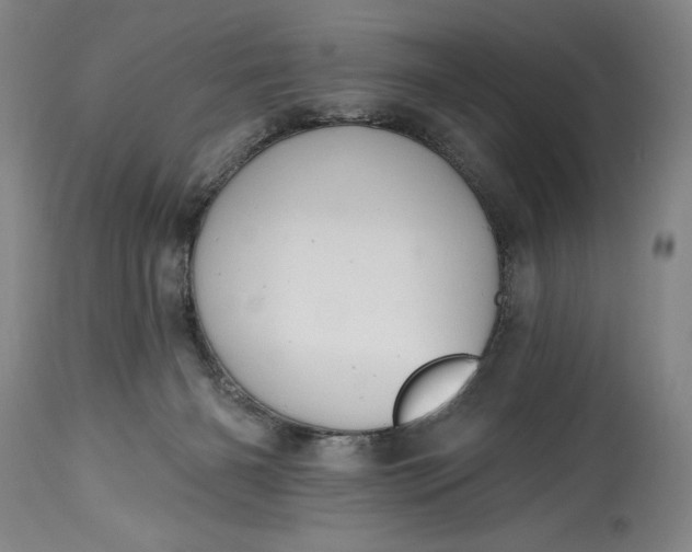 X0000115420126200911171432