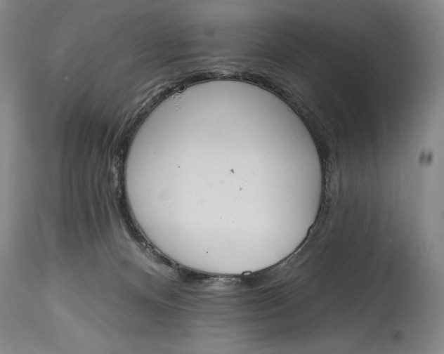 X0000115420128200911171432