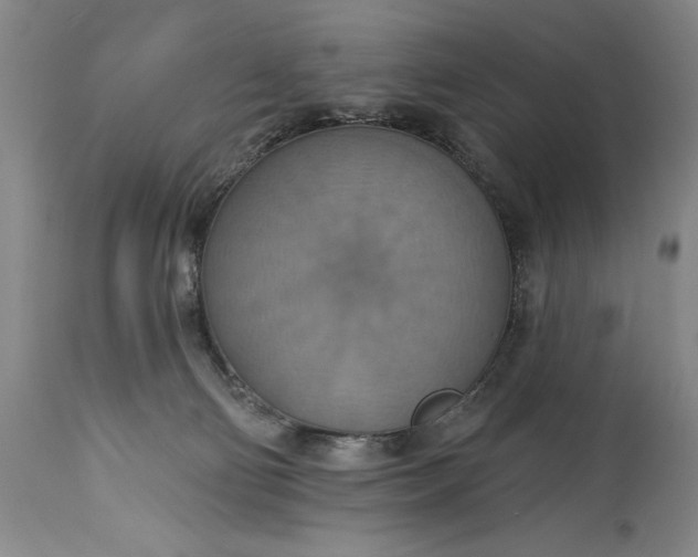 X0000115420130200911171432