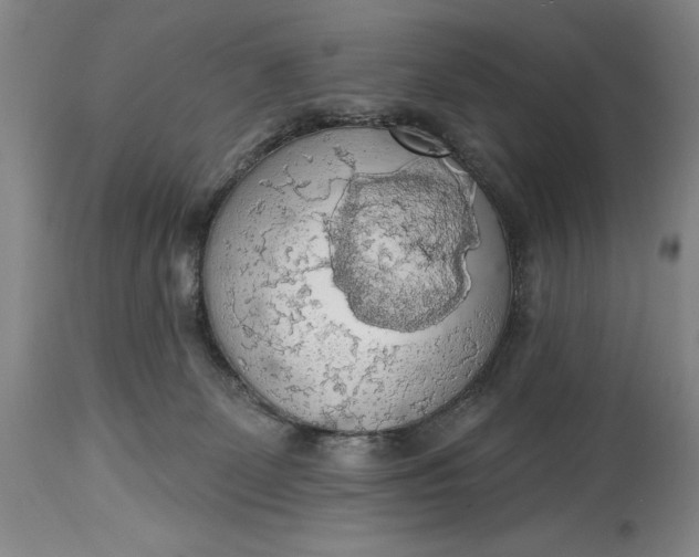 X0000115420131200911171432