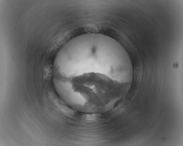 X0000115420134200911171432