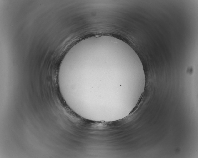 X0000115420140200911171431