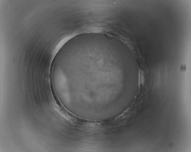 X0000115420147200911171431