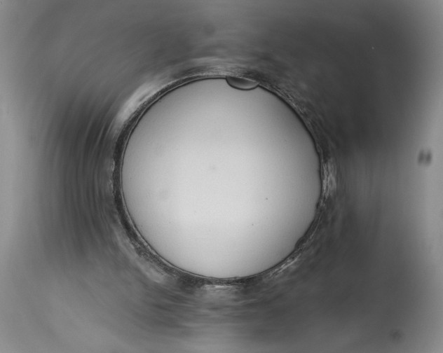 X0000115420150200911171431