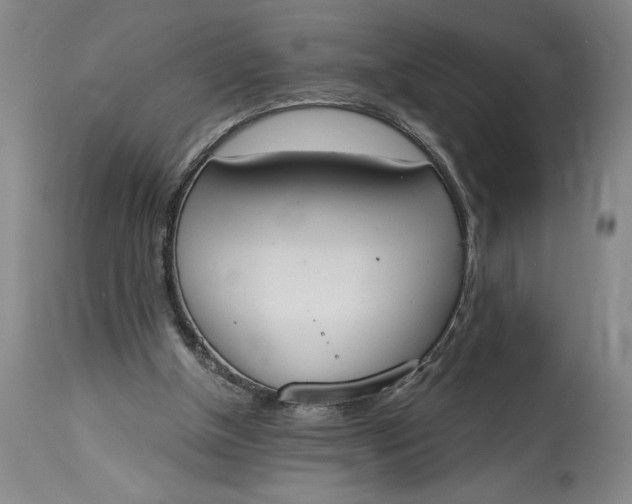 X0000115420154200911171431