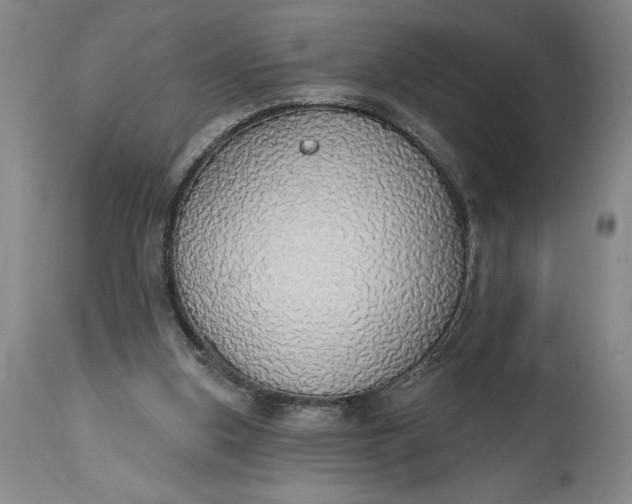 X0000115420155200911171431