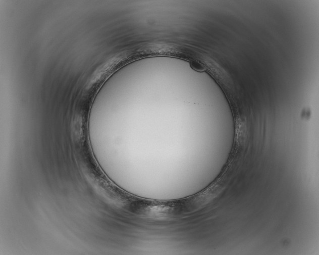 X0000115420158200911171431