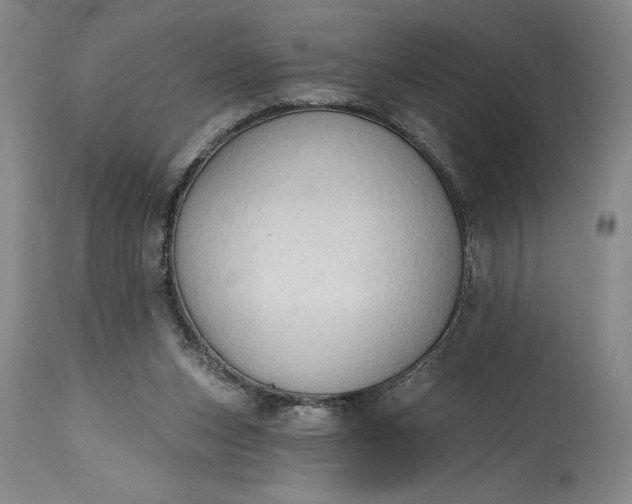 X0000115420159200911171431