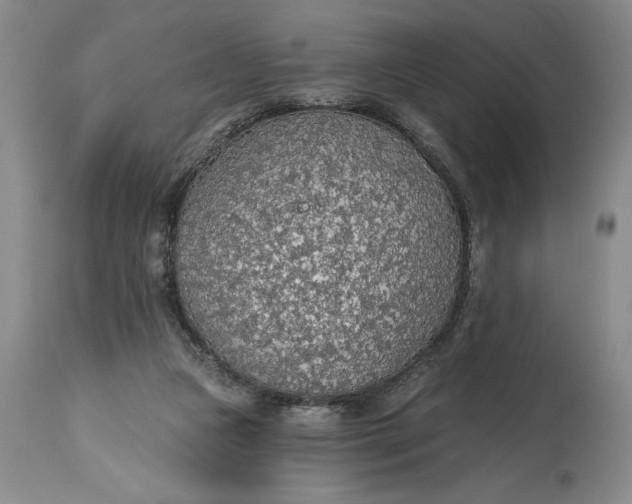 X0000115420161200911171431