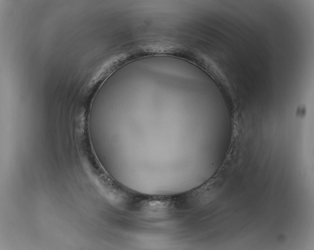 X0000115420163200911171431