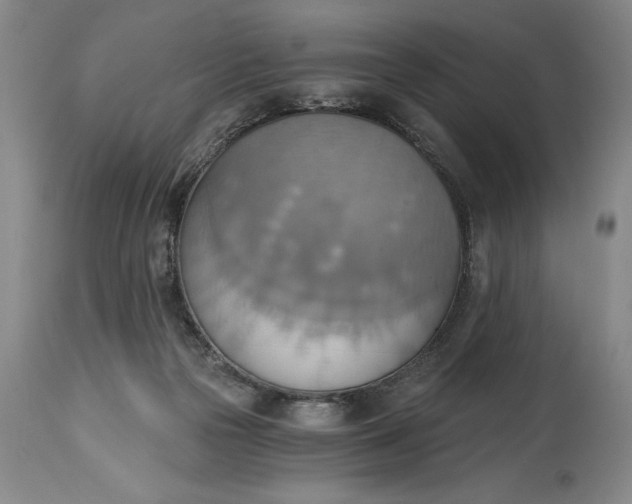 X0000115420169200911171431