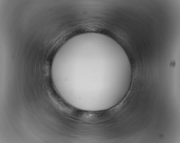 X0000115420174200911171431