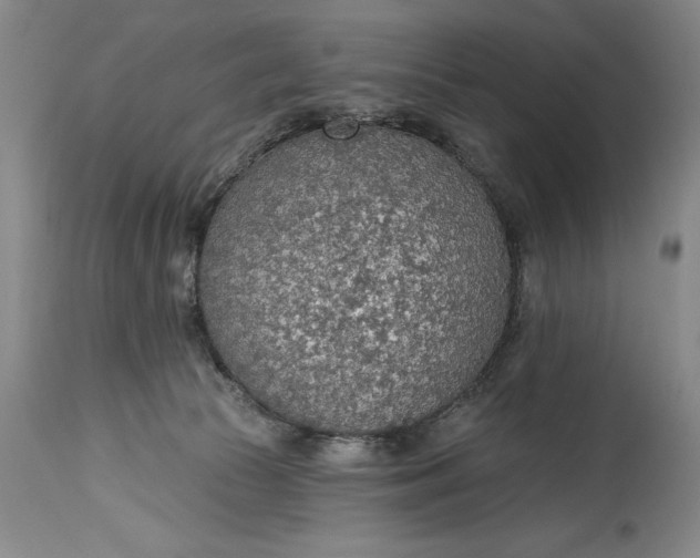 X0000115420177200911171431