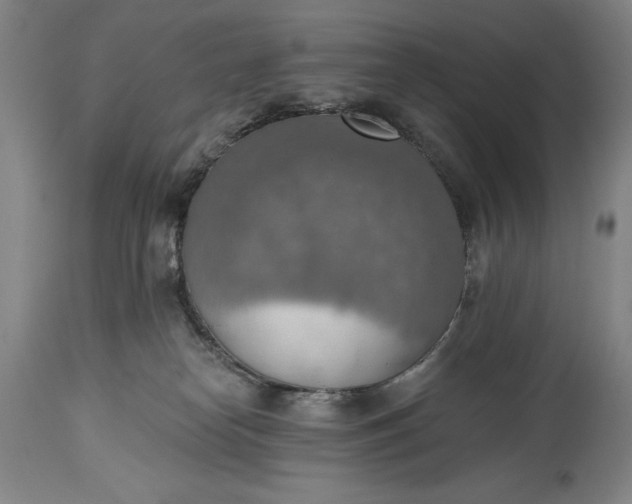 X0000115420182200911171431