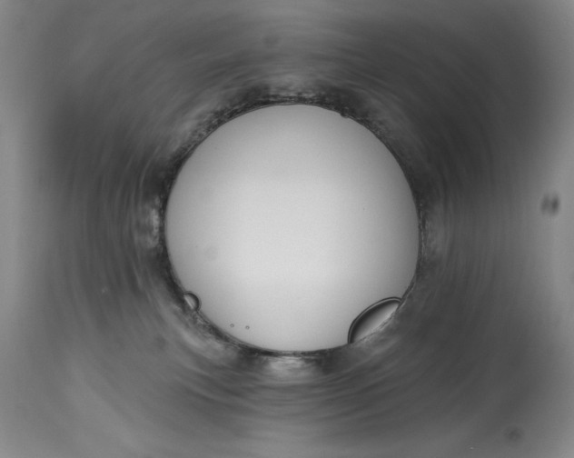 X0000115420183200911171431