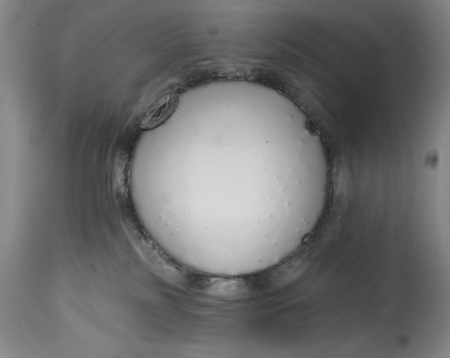 X0000115420185200911171431