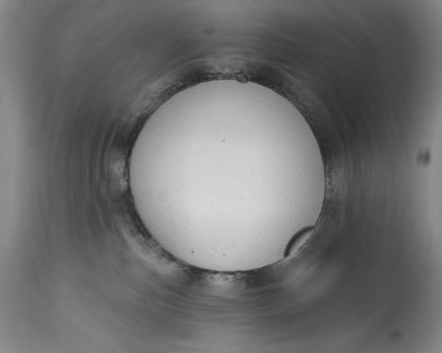 X0000115420187200911171431