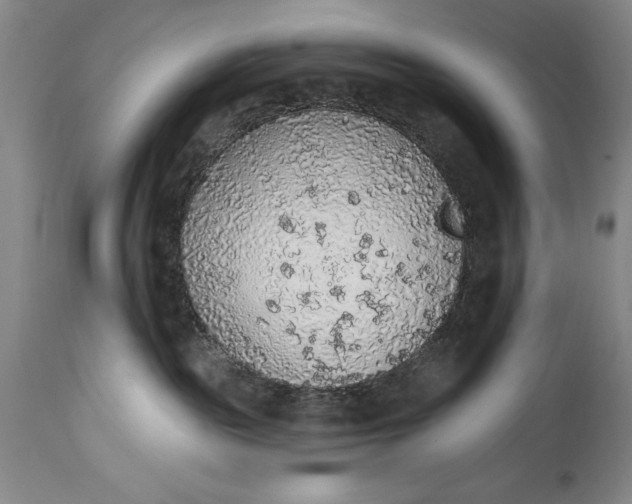 X0000115420189200911171431