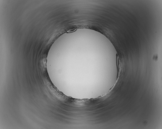 X0000115420190200911171431