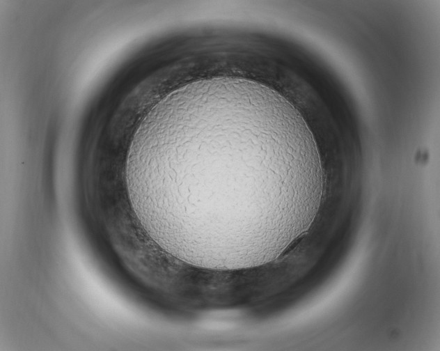 X0000115420191200911171431