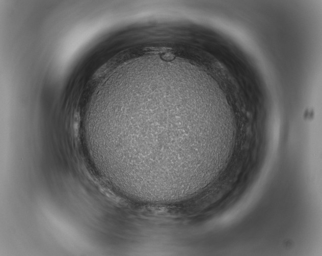 X0000115420194200911171431