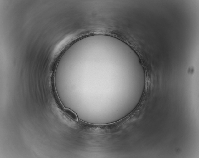 X0000115420197200911171431