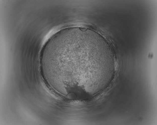 X0000115420198200911171431