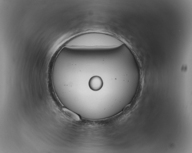 X0000115420199200911171431