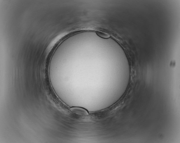 X0000115420200200911171431