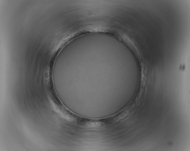 X0000115420202200911171431